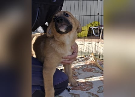 Egidio: freut sich auf ein Leben in einer Familie