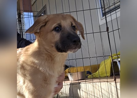 Egidio: freut sich auf ein Leben in einer Familie