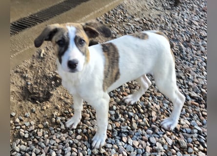 Ave: Spaß und gute Laune garantiert