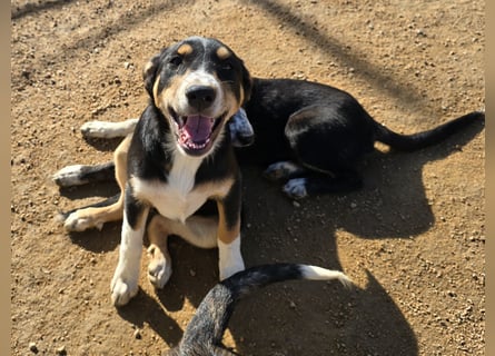 Betty: Eine für Alle