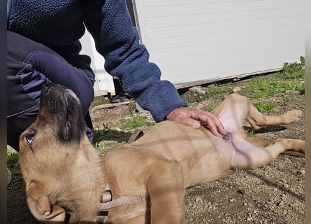 Fritz: er liebt das Leben