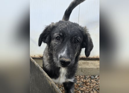 Pesca: Spaß und gute Laune garantiert