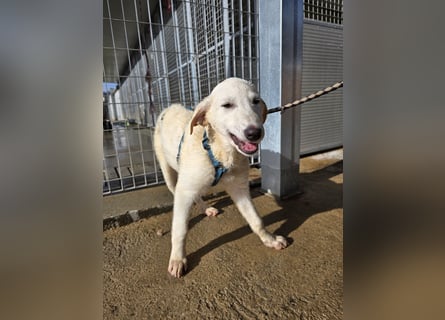 Kate: wird mein Leben bunt und schön?