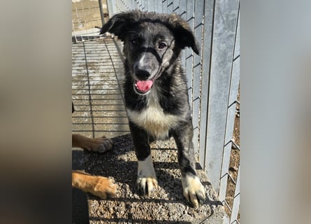 Pesca: Spaß und gute Laune garantiert