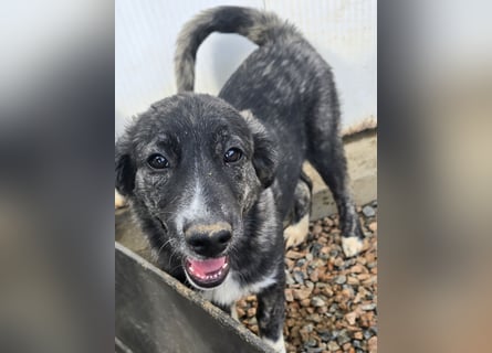 Pesca: Spaß und gute Laune garantiert