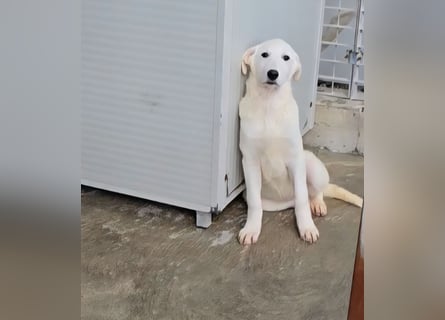 Kate: wird mein Leben bunt und schön?