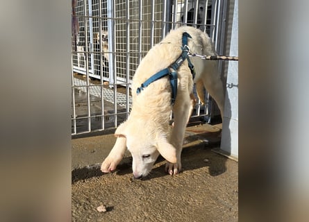 Kate: wird mein Leben bunt und schön?