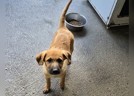 Egidio: freut sich auf ein Leben in einer Familie