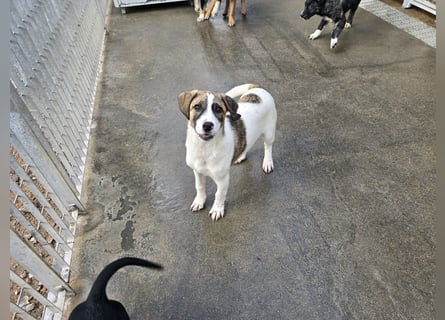 Ave: Spaß und gute Laune garantiert