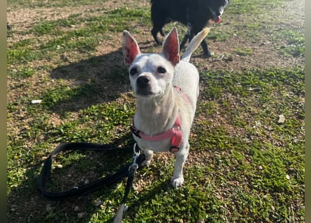 Egidio: freut sich auf ein Leben in einer Familie-reserviert