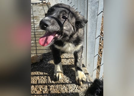 Pesca: Spaß und gute Laune garantiert