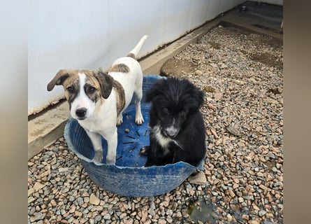 Ave: Spaß und gute Laune garantiert