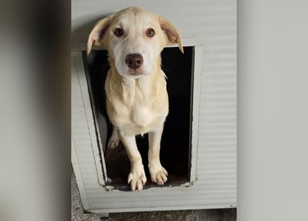 Kenba: ein Schatz für die ganze Familie