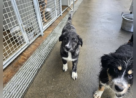 Pesca: Spaß und gute Laune garantiert