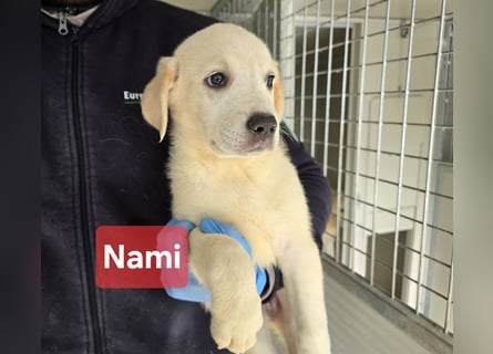 Nami und Noe: vom Flughafen ins schöne Leben