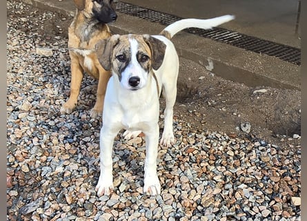 Ave: Spaß und gute Laune garantiert