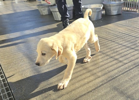 Nami und Noe: vom Flughafen ins schöne Leben