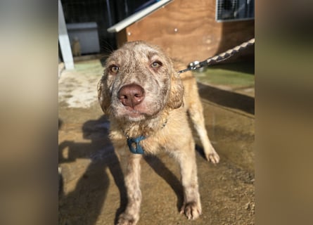 Kira: ein echter Hingucker