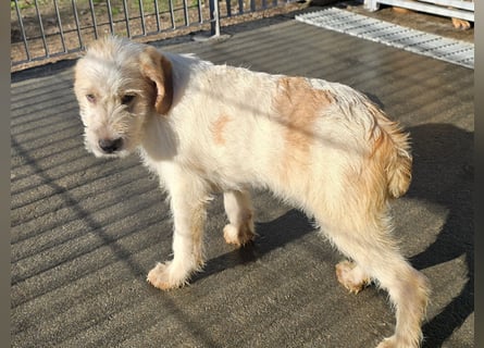 Nami und Noe: vom Flughafen ins schöne Leben