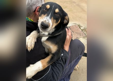 Betty: Eine für Alle