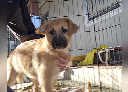 Egidio: freut sich auf ein Leben in einer Familie