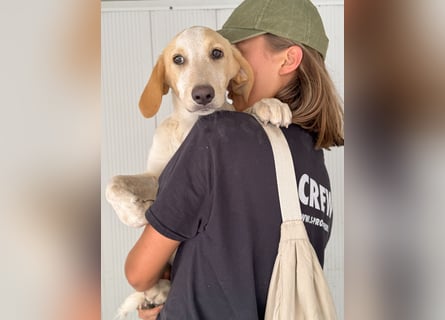 Trilly: unsere kleine Prinzessin
