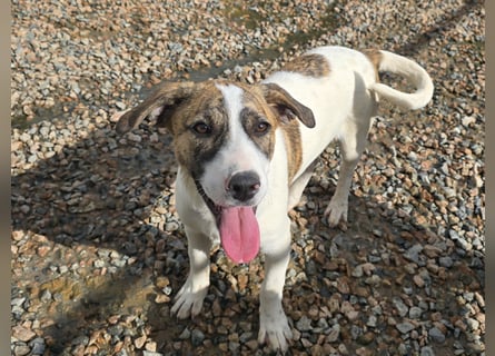 Ave: Spaß und gute Laune garantiert