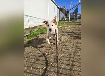 Fidor: Hallo, hier bin ich!