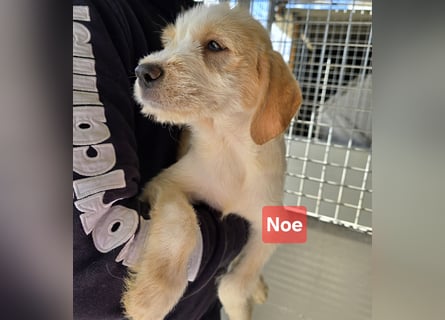 Nami und Noe: vom Flughafen ins schöne Leben