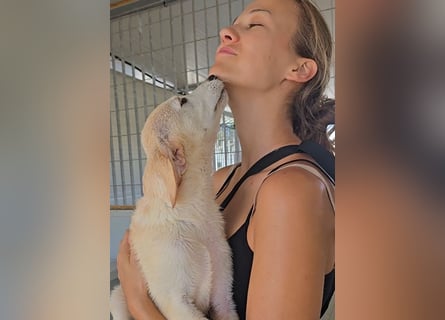 Polly: wird mein Leben bunt und schön