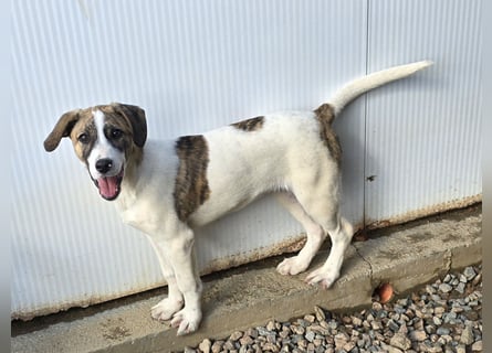 Ave: Spaß und gute Laune garantiert