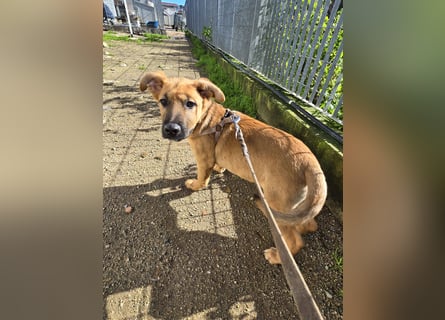 Fritz: er liebt das Leben