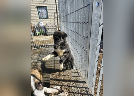 Pesca: Spaß und gute Laune garantiert