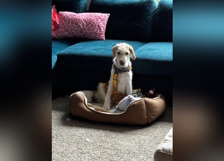 Noe: vom Flughafen ins schöne Leben