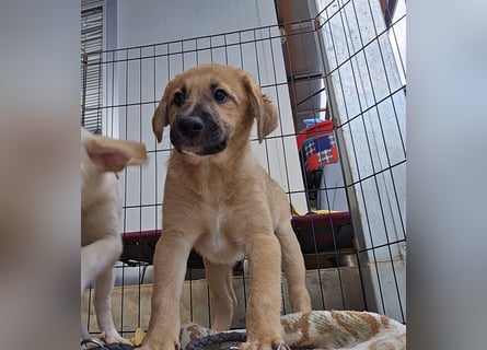 Egidio: freut sich auf ein Leben in einer Familie