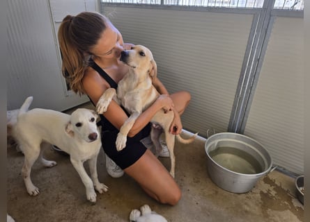 Roccino: sucht Lieblingsmensch