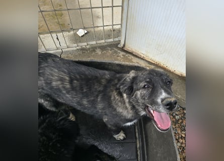 Pesca: Spaß und gute Laune garantiert