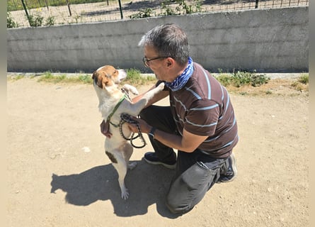 Gilda: erobert alle Herzen mit ihrer Fröhlichkeit