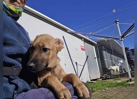 Fritz: er liebt das Leben