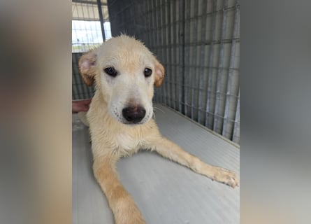 Fidor: Hallo, hier bin ich!