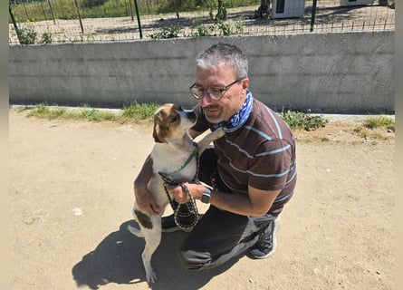 Gilda: erobert alle Herzen mit ihrer Fröhlichkeit