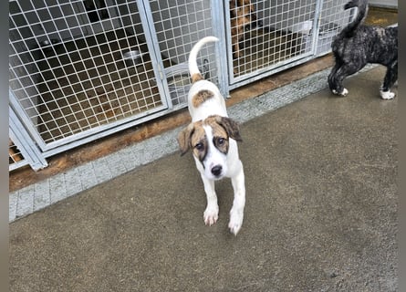 Ave: Spaß und gute Laune garantiert