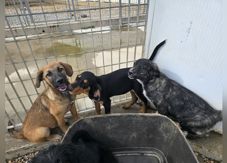 Vento: Spaß und gute Laune garantiert