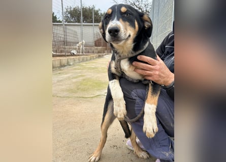 Betty: Eine für Alle