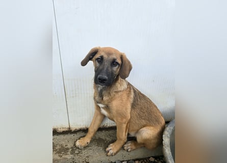 Vento: Spaß und gute Laune garantiert