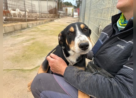 Bill: einfach nur lieb und unkompliziert