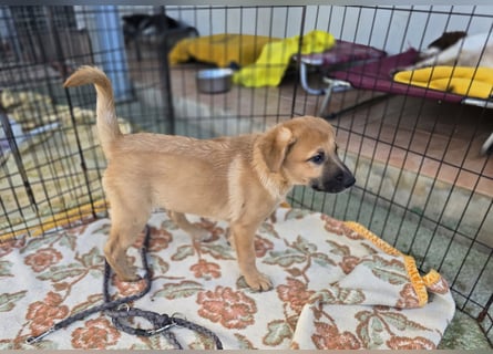 Egidio: freut sich auf ein Leben in einer Familie