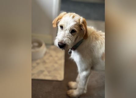 Noe: vom Flughafen ins schöne Leben