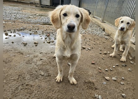 Cameron: kleiner Herzensbrecher