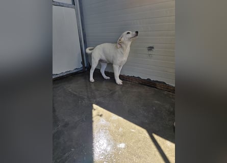 Liz: wer öffnet mir  die Tür?